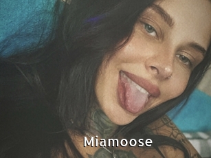 Miamoose