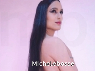 Michelebosse