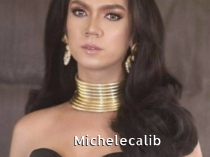 Michelecalib