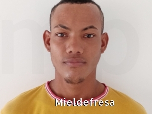 Mieldefresa