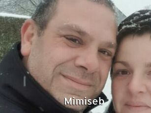 Mimiseb