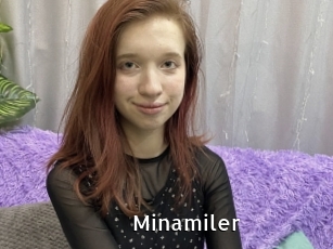 Minamiler