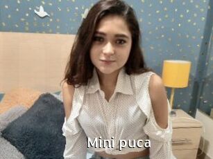 Mini_puca