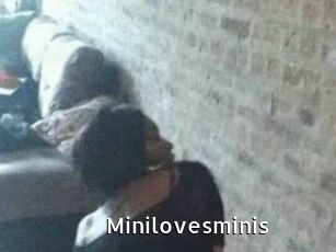 Minilovesminis