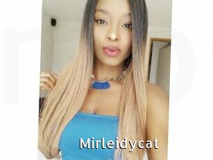 Mirleidycat