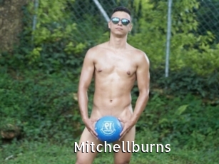 Mitchellburns