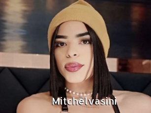 Mitchelvasini