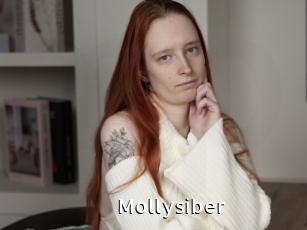 Mollysiber