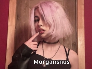 Morgansnus