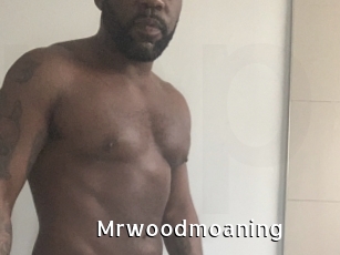 Mrwoodmoaning