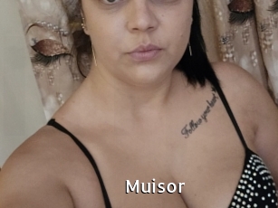 Muisor