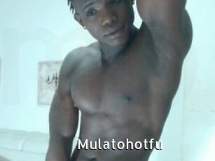 Mulatohotfu