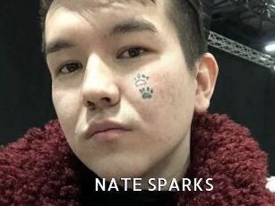 NATE_SPARKS