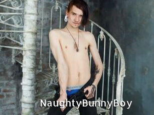NaughtyBunnyBoy My Porno Stash