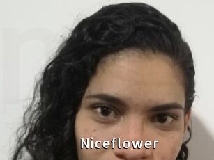 Nice_flower