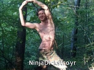 NinjaDickstroyr