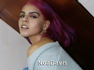 NoaDavis
