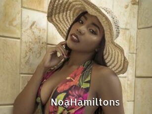 NoaHamiltons