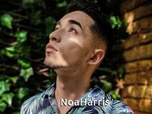 NoaHarris