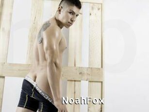 NoahFox
