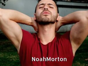 NoahMorton