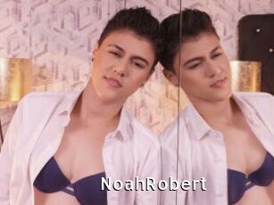 NoahRobert