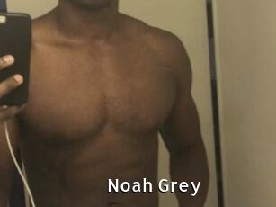 Noah_Grey