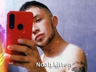 Noah_kitten