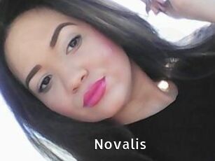 Novalis My Porno Stash