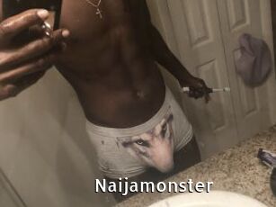 Naijamonster
