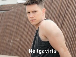 Neilgaviria