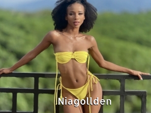 Niagollden