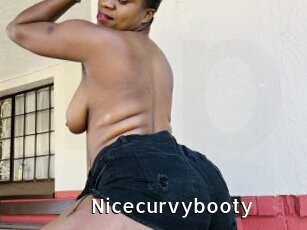 Nicecurvybooty