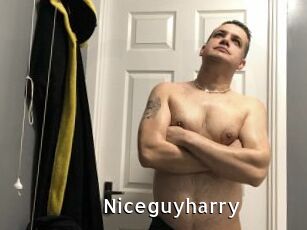 Niceguyharry