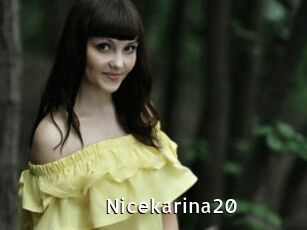 Nicekarina20