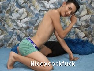 Nicexcockfuck