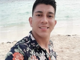 noah_cock My Porno Stash