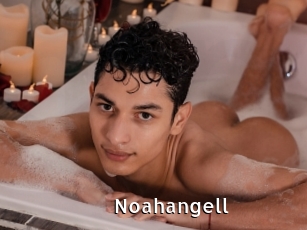 Noahangell