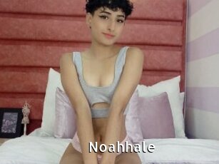 Noahhale