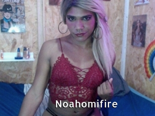 Noahomifire