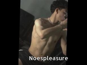 Noespleasure