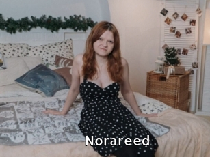 Norareed
