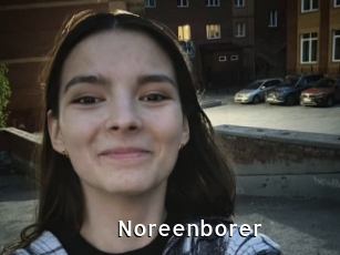 Noreenborer