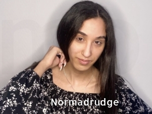 Normadrudge
