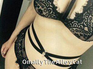 OmallyTheAlleyCat