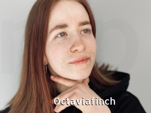 Octaviafinch