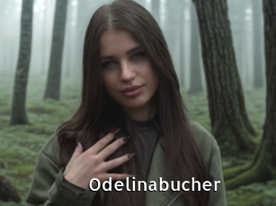 Odelinabucher