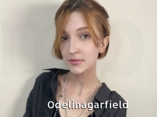 Odelinagarfield