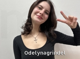 Odelynagrindel
