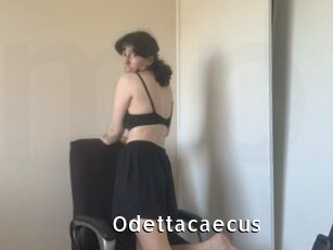 Odettacaecus